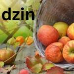 Oridzin