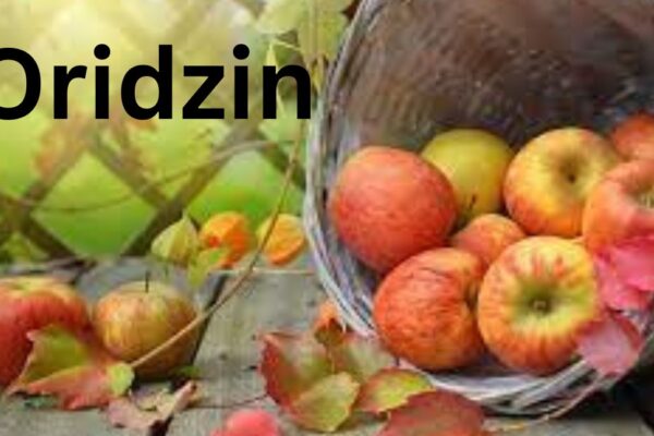 Oridzin