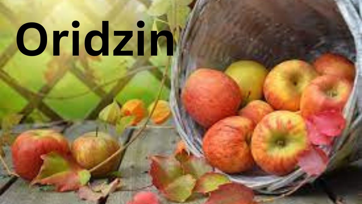 Oridzin