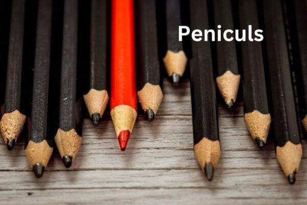 Peniculs