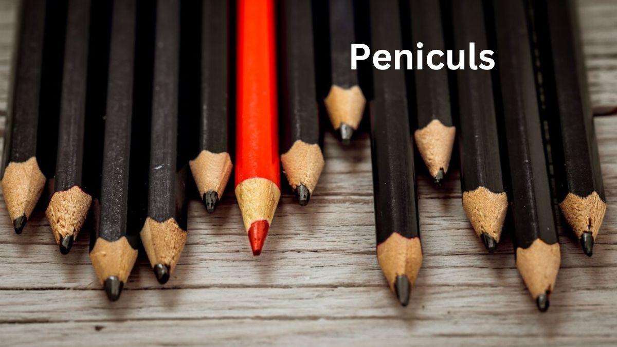 Peniculs