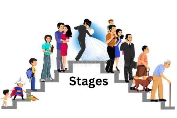 Stages