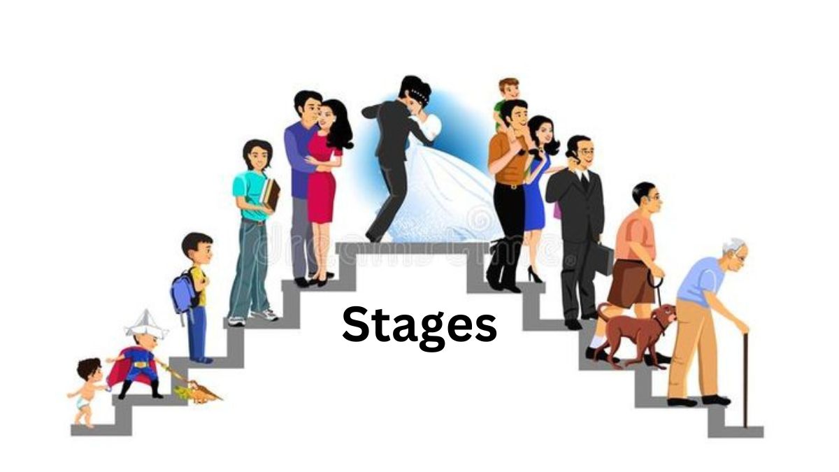 Stages