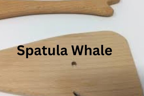 Spatula Whale